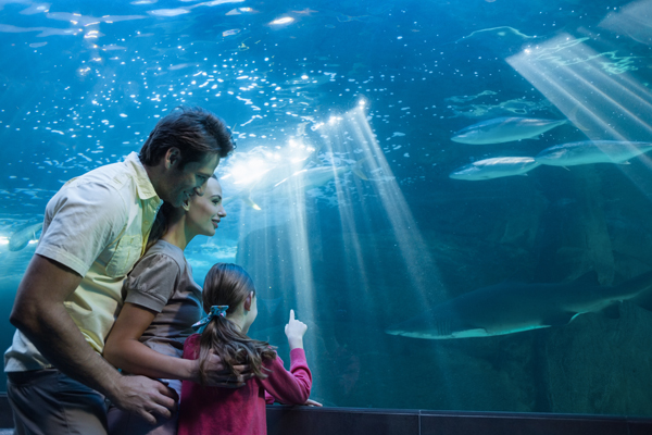 The Florida Aquarium Tampa